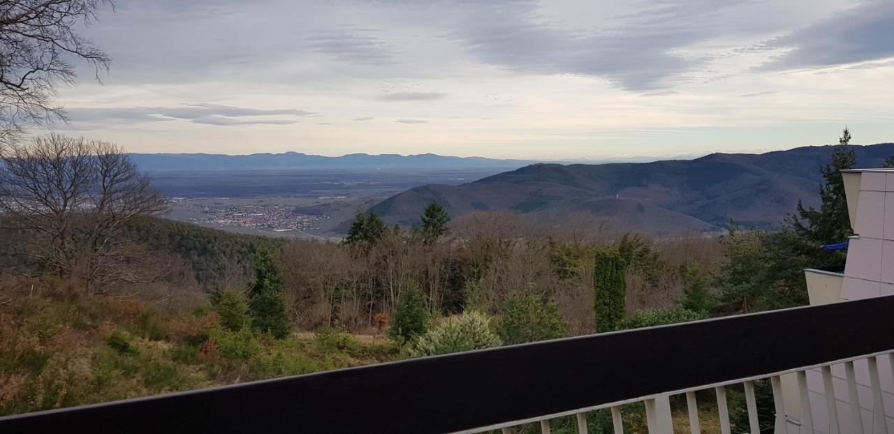 Studio Avec Sauna Au Calme A 15 Min De Colmar Trois-Épis Zewnętrze zdjęcie
